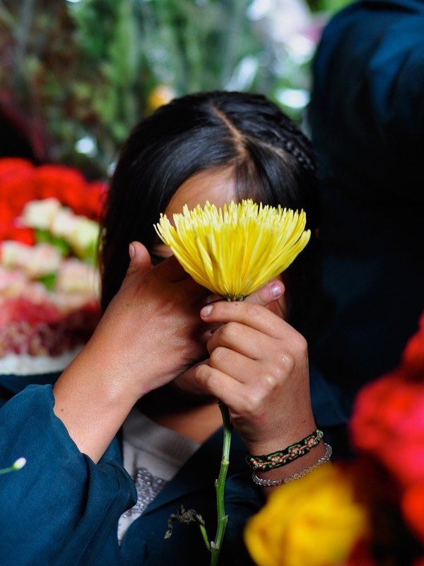 Passeando pelo mercado municipal de Cusco, me deparei com uma tenda bem simples, onde flores eram comercializadas. Ao apontar a câmera para a pequena que ajudava sua mãe nos afazeres do pequeno negócio, fui presenteado com a espontaneidade e o momento mágico dessa foto. Ela se escondeu de mim com uma flor, ou talvez com uma flor tenha mostrado toda beleza. Não houve ensaio, direção, ou mesmo como repetir aquele instante. E talvez seja assim mesmo a vida. Esse presente foi pra parede de amigos muito especiais nos últimos dias.